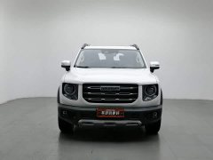 Great Wall Dachshund 2.0T DCT Four-wheel Drive Howling Heavenly Dog Edition - ფოტო 3