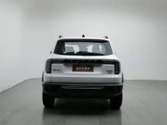 Great Wall Dachshund 2.0T DCT Four-wheel Drive Howling Heavenly Dog Edition - ფოტო 4