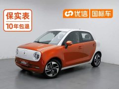 Ora Black Cat 2022 351km Comfort Ternary Lithium - ფოტო 1