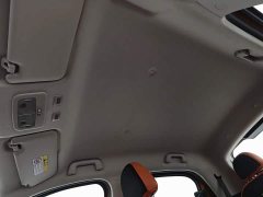 Ora Black Cat 2022 351km Comfort Ternary Lithium - ფოტო 14