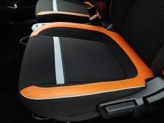 Ora Black Cat 2022 351km Comfort Ternary Lithium - ფოტო 20
