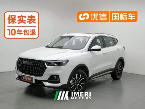 2025 Haval H6 2023 National Trend Edition 1.5T Automatic Urban Version - ავტომობილი ჩინეთიდან