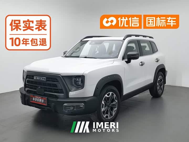 Great Wall Dachshund 2.0T DCT Chinese Rural Dog Edition - ავტომობილი ჩინეთიდან