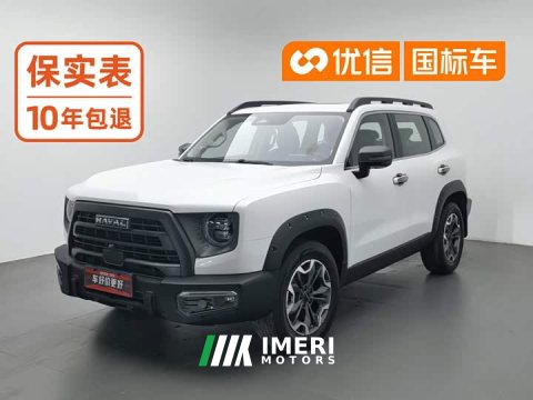 2024 Great Wall Dachshund 2.0T DCT Chinese Rural Dog Edition - ავტომობილი ჩინეთიდან