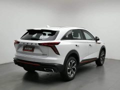 Haval Divine Beast 2023 1.5T Smart Enjoy Edition - ფოტო 2