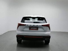 Haval Divine Beast 2023 1.5T Smart Enjoy Edition - ფოტო 4
