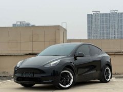 Tesla Model Y 2022 Facelift Rear-Wheel Drive - ფოტო 3
