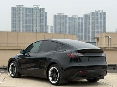 Tesla Model Y 2022 Facelift Rear-Wheel Drive - ფოტო 6