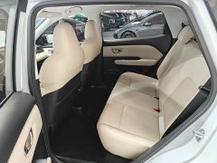 Wuling Binguo PLUS 401km Range Flagship Edition Four-Seater - ფოტო 6