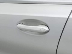 BMW 3 Series Facelift 320Li M Sport Package - ფოტო 18