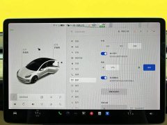 Tesla Model 3 Standard Range RWD Upgrade - ფოტო 12
