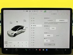 Tesla Model 3 Standard Range RWD Upgrade - ფოტო 18