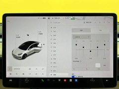 Tesla Model 3 Standard Range RWD Upgrade - ფოტო 19