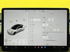 Tesla Model 3 Standard Range RWD Upgrade - ფოტო 20