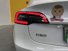 Tesla Model 3 Standard Range RWD Upgrade - ფოტო 4