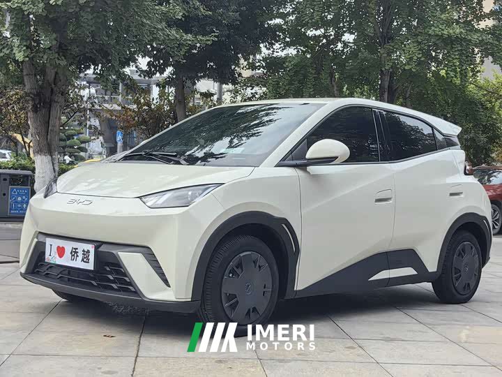 BYD Seagull 2024 Glory Edition 305km Vitality Version - ავტომობილი ჩინეთიდან
