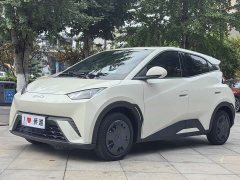 BYD Seagull 2024 Glory Edition 305km Vitality Version - ფოტო 1