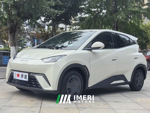 2025 BYD Seagull 2024 Glory Edition 305km Vitality Version - ავტომობილი ჩინეთიდან