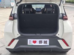 BYD Seagull 2024 Glory Edition 305km Vitality Version - ფოტო 10