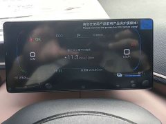 BYD Seagull 2024 Glory Edition 305km Vitality Version - ფოტო 17