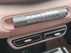 BYD Seagull 2024 Glory Edition 305km Vitality Version - ფოტო 18