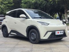 BYD Seagull 2024 Glory Edition 305km Vitality Version - ფოტო 3