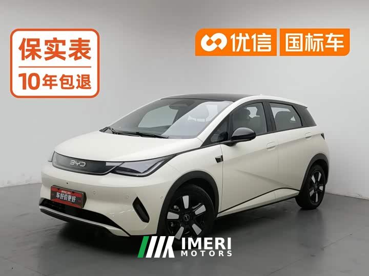 BYD Dolphin Smart Drive 410km Fashion Edition - ავტომობილი ჩინეთიდან