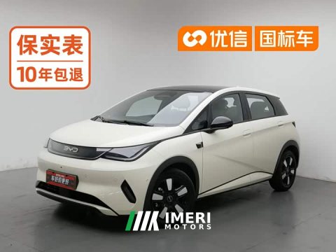 2025 BYD Dolphin Smart Drive 410km Fashion Edition - ავტომობილი ჩინეთიდან