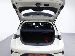BYD Dolphin Smart Drive 410km Fashion Edition - ფოტო 16