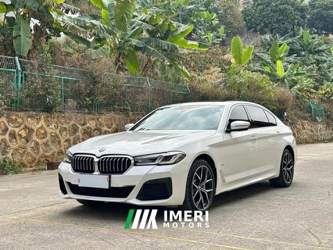 2023 BMW 5 Series 2022 Facelift 530Li M Sport Luxury - ავტომობილი ჩინეთიდან
