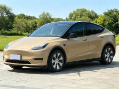 Tesla Model Y Rear-Wheel Drive - ფოტო 1