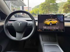Tesla Model Y Rear-Wheel Drive - ფოტო 10