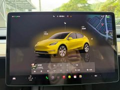 Tesla Model Y Rear-Wheel Drive - ფოტო 12