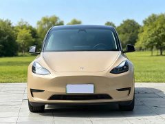 Tesla Model Y Rear-Wheel Drive - ფოტო 2