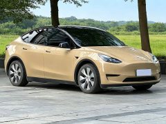Tesla Model Y Rear-Wheel Drive - ფოტო 3