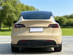 Tesla Model Y Rear-Wheel Drive - ფოტო 5