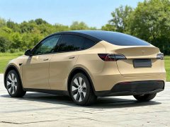 Tesla Model Y Rear-Wheel Drive - ფოტო 6