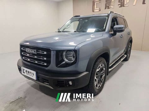 2021 Great Wall Dachshund 2.0T DCT Four-wheel Drive Howling Heavenly Dog Edition - ავტომობილი ჩინეთიდან