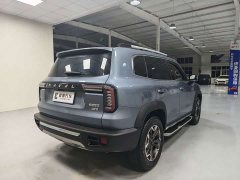 Great Wall Dachshund 2.0T DCT Four-wheel Drive Howling Heavenly Dog Edition - ფოტო 4