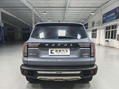 Great Wall Dachshund 2.0T DCT Four-wheel Drive Howling Heavenly Dog Edition - ფოტო 5