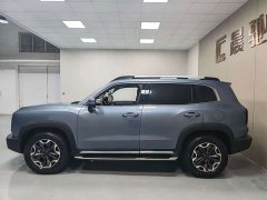 Great Wall Dachshund 2.0T DCT Four-wheel Drive Howling Heavenly Dog Edition - ფოტო 7