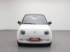 Ora Black Cat 351km Comfort Ternary Lithium - ფოტო 3