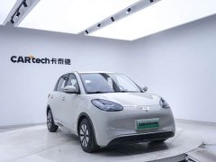 Wuling Binguo 333km Joy Edition - ფოტო 7