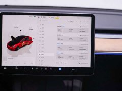 Tesla Model 3 Rear-Wheel Drive - ფოტო 18