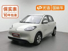 Wuling Binguo 203km Light Enjoy Edition - ფოტო 1