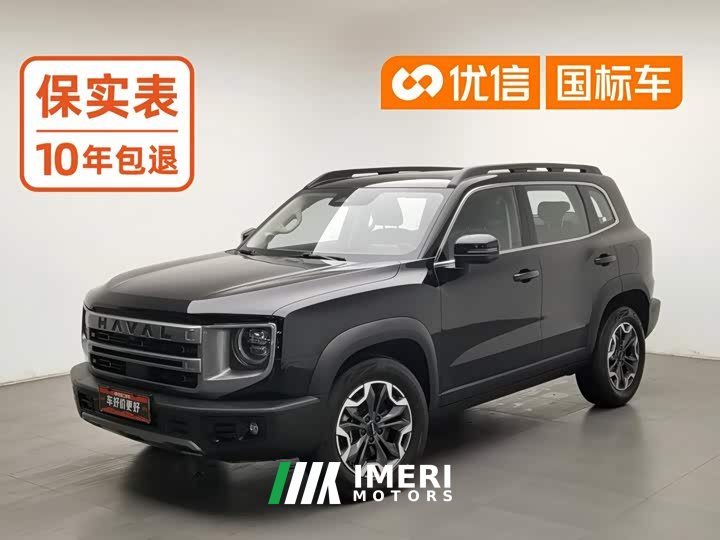 Great Wall Dachshund 2.0T DCT Chinese Rural Dog Edition - ავტომობილი ჩინეთიდან