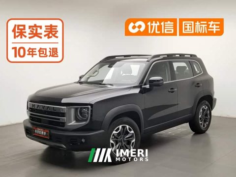 2024 Great Wall Dachshund 2.0T DCT Chinese Rural Dog Edition - ავტომობილი ჩინეთიდან