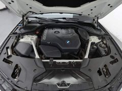 BMW 5 Series Facelift 530Li Premier M Sport Package - ფოტო 6