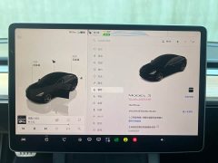 Tesla Model 3 2022 Performance All-Wheel Drive - ფოტო 20