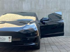 Tesla Model 3 2022 Performance All-Wheel Drive - ფოტო 4